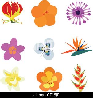Satz von neun exotische Blumen mit: Flamme Lily, Orange Hibiscus, Herbers, Plumeria, Moraea Villosa, Bird Of Paradise Stock Vektor