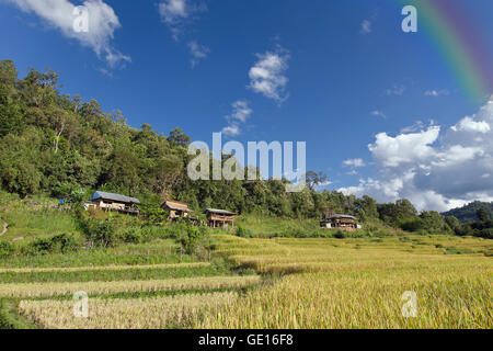 Baan Pa Bong Pieng (Blick auf Reis-Farm und bewölkten blauen Himmel von der lokalen Bevölkerung in den Bergen, nördlichen Teil von Thailand) Stockfoto