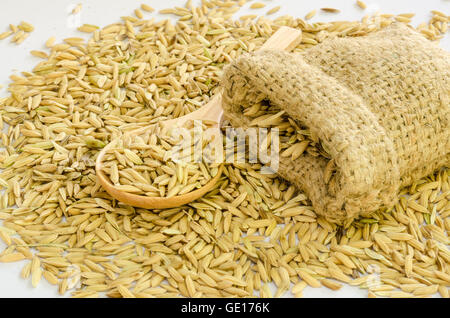 Paddy-Reis-Saatgut in einem Leinensack. Stockfoto