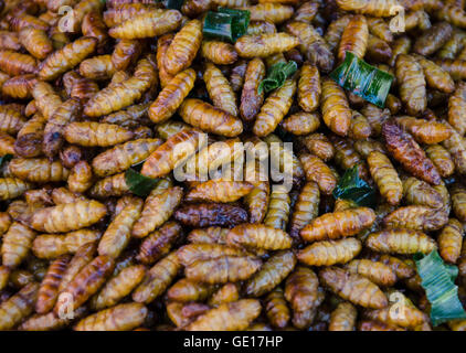 Insekten-Raupen als Snacks auf einem Markt in Thailand verkauft. Stockfoto