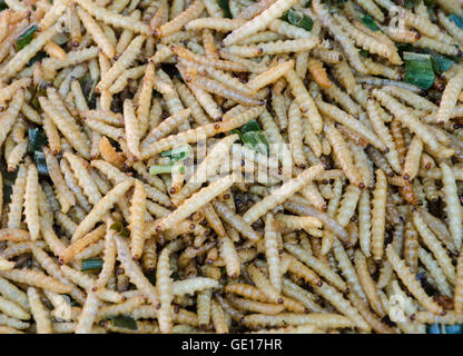 Insekten-Raupen als Snacks auf einem Markt in Thailand verkauft. Stockfoto