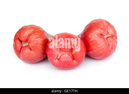 Rose Äpfel isoliert auf weißem Hintergrund. Stockfoto