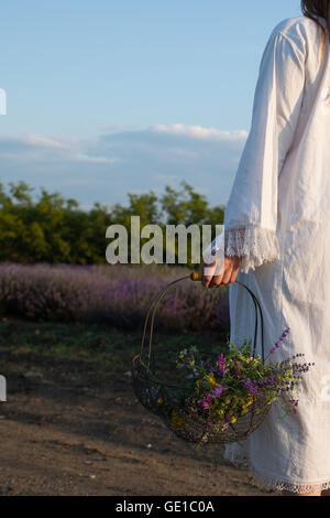 Rückansicht der Frau im Lavendelfeld Korb mit Blumen Stockfoto
