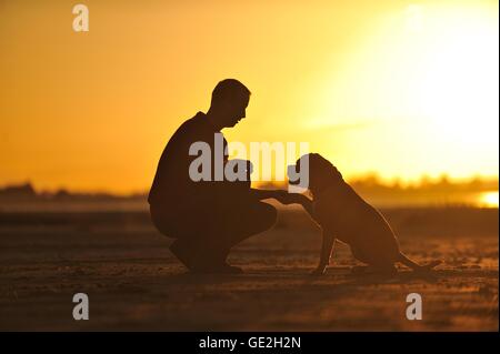 Mann und Leavitt Bulldog Stockfoto