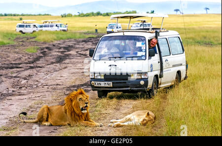 Menschen, die vor dem Löwen während Safari Spiel fahren in Masai Mara National Reserve. Stockfoto