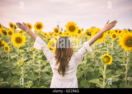 schöne Mädchen im Feld von Sonnenblumen-vintage Stockfoto