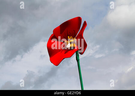 Big Flower auf der RHS Royal Horticultural Society 2016 Flower Show im Tatton PARK, Knutsford, Großbritannien Stockfoto