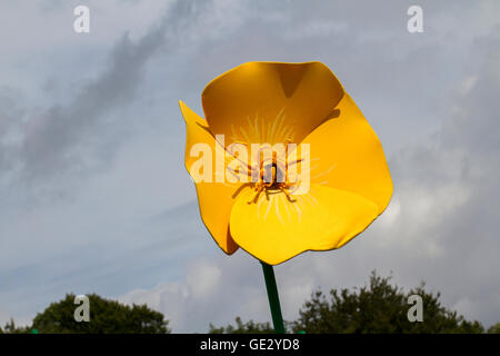Big Flower auf der RHS Royal Horticultural Society 2016 Flower Show im Tatton PARK, Knutsford, Großbritannien Stockfoto