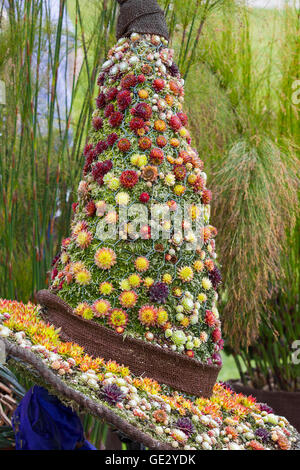 Sunray Pflanzen Ausstellung bei RHS Tatton Flower Show Sempervivum ist eine Gattung von über 40 Arten von Blütenpflanzen in der Crassulaceae Familie, gemeinhin als houseleeks, die sorgfältig gestaltete wurden die Form und in Form bekannt, sculpted in die Form eines kegelförmigen Hut Stockfoto