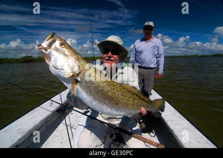 Großen Gator "Forellen sind oft gefangen in Floridas Moskito Lagune in der Nähe von New Smyrna Beach an der Ostküste. Stockfoto