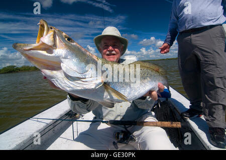 Großen Gator "Forellen sind oft gefangen in Floridas Moskito Lagune in der Nähe von New Smyrna Beach an der Ostküste. Stockfoto