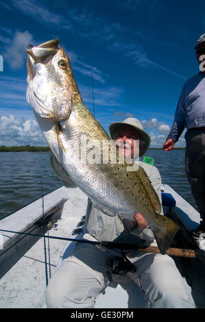 Großen Gator "Forellen sind oft gefangen in Floridas Moskito Lagune in der Nähe von New Smyrna Beach an der Ostküste. Stockfoto