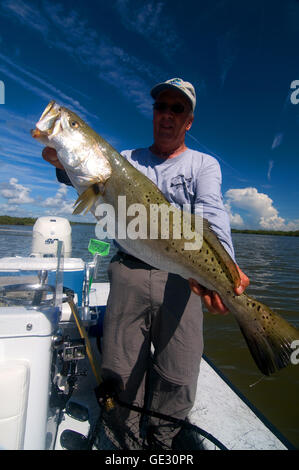 Großen Gator "Forellen sind oft gefangen in Floridas Moskito Lagune in der Nähe von New Smyrna Beach an der Ostküste. Stockfoto