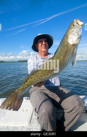 Großen Gator "Forellen sind oft gefangen in Floridas Moskito Lagune in der Nähe von New Smyrna Beach an der Ostküste. Stockfoto