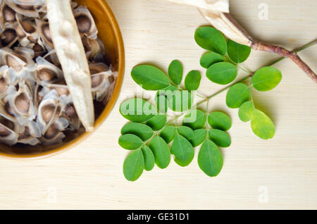 Moringa Blatt und Samen auf Holz an Bord Hintergrund (andere Namen sind Moringa Oleifera Klg, MORINGACEAE, Futaba Kom Hammer, Hersteller Stockfoto