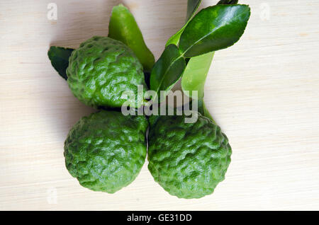 Bergamottenfrüchte (andere Namen sind Kaffir-Limette, Citrus, Magnoliophyta, Rutaceae) Früchte mit Blatt Stockfoto