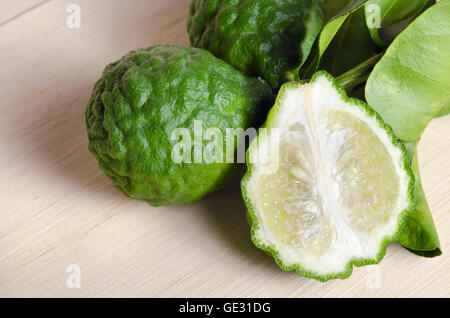 Bergamottenfrüchte (andere Namen sind Kaffir-Limette, Citrus, Magnoliophyta, Rutaceae) Früchte mit Blatt Stockfoto