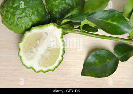 Bergamottenfrüchte (andere Namen sind Kaffir-Limette, Citrus, Magnoliophyta, Rutaceae) Früchte mit Blatt Stockfoto