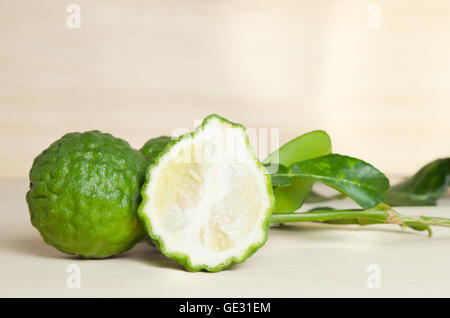 Bergamottenfrüchte (andere Namen sind Kaffernlimette, Magnoliophyta, Bergamotte, Citrus, Rutaceae) Früchte mit Blatt Stockfoto