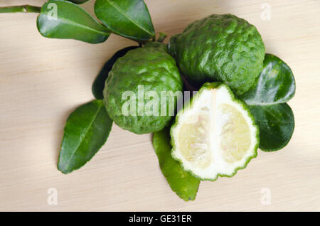 Bergamottenfrüchte (andere Namen sind Kaffir-Limette, Citrus, Magnoliophyta, Rutaceae) Früchte mit Blatt Stockfoto