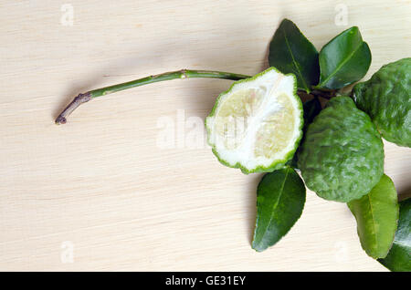 Bergamottenfrüchte (andere Namen sind Kaffernlimette, Magnoliophyta, Bergamotte, Citrus, Rutaceae) Früchte mit grünem Blatt Stockfoto