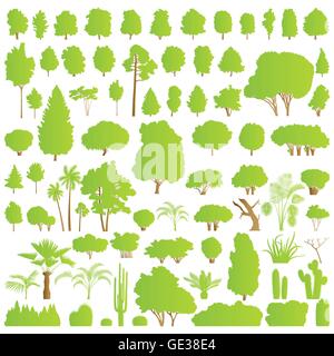 Natur Baum, Busch, Peeling, Palmen und Kakteen Pflanzen detaillierte Wald Silhouetten Stock Vektor