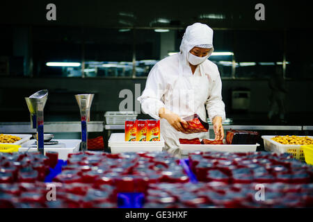 Chengde, Chinas Provinz Hebei. 22. Juli 2016. Ein Arbeiter packt Kastanien in einer Frucht-Verarbeitung-Fabrik in Kuancheng Manchu autonome Grafschaft in Chengde Stadt, Nordchinas Provinz Hebei, 22. Juli 2016. Die jährliche Produktion der Früchte, die Verarbeitungsindustrie in Chengde 1,34 Millionen Tonnen einschließlich Kastanien, Weißdornbeeren, Äpfel, Aprikosen, etc. © Liu schönes/Xinhua/Alamy erreicht hat Live-Nachrichten Stockfoto