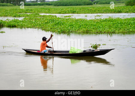 Dhaka, Bangladesch. 22. Juli 2016. Ein Dorfbewohner fährt ein kleines Boot in Arial Rechnung am Munshigonj in der Nähe von Dhaka, Bangladesh. Am 22. Juli 2016 Credit: Mamunur Rashid/Alamy Live-Nachrichten Stockfoto