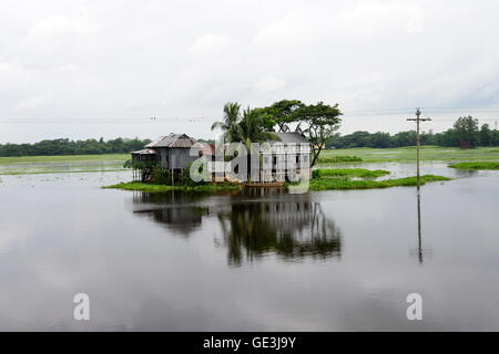 Dhaka, Bangladesch. 22. Juli 2016. Blick auf ein Bangladeshi Bauer Haus rund ums Wasser am Munshigonj in der Nähe von Dhaka, Bangladesh. Am 22. Juli 2016 Credit: Mamunur Rashid/Alamy Live-Nachrichten Stockfoto