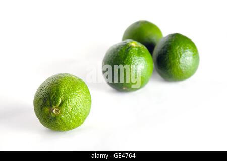 Bergamottenfrüchte (andere Namen sind Kaffir-Limette, Citrus, Magnoliophyta, Rutaceae) isoliert auf weißem Hintergrund Stockfoto