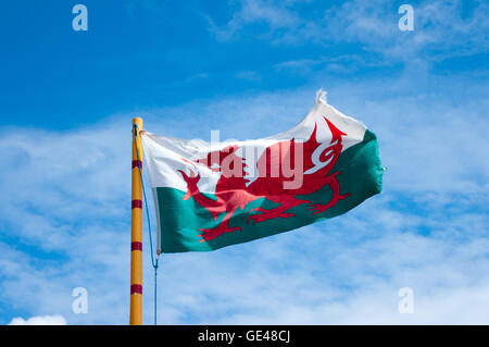 Walisische Flagge zeigt des roten Drache von Wales fliegen in der Sommersonne. Stockfoto