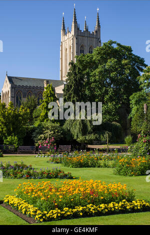 Ein Blick auf St. Edmundsbury Cathedral von Abbey Gardens in Bury St Edmunds, Suffolk. Stockfoto