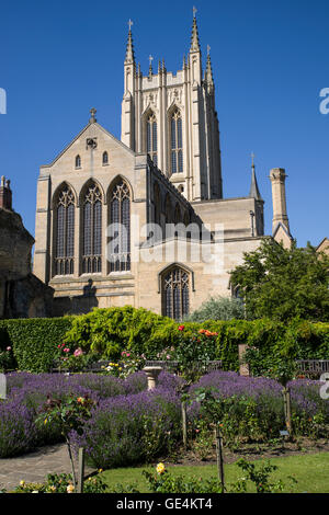 Die historische St. Edmundsbury Cathedral angesehen von den Klostergarten in Bury St. Edmunds, Suffolk. Stockfoto