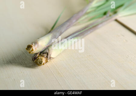 Zitronengras (andere Namen sind Zitronengras, Stacheldraht Rasen, seidig Köpfe, Citronella Rasen, Cha de Dartigalongue Fieber Rasen, ta Stockfoto