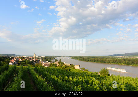 Krems an der Donau: Blick aus den Weinbergen von Gaisberg auf Stein, der Donau, Österreich, Niederösterreich, Niederösterreich, Wac Stockfoto