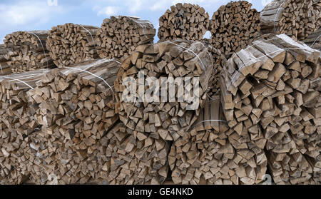 Gestapelte runde Bündel Holz Stockfoto