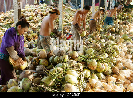 Gruppe der asiatischen Arbeiter arbeiten hart an Kokosnuss Getreidespeicher, vietnamesische Arbeit aufgeteilt Faser aus Kokos-Frucht Stockfoto