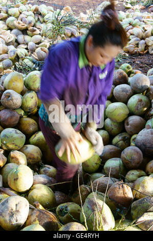 Gruppe der asiatischen Arbeiter arbeiten hart an Kokosnuss Getreidespeicher, vietnamesische Arbeit aufgeteilt Faser aus Kokos-Frucht Stockfoto