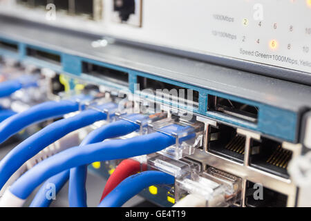 UTP Cat5e Kabel angeschlossen Netz Schalter Nahaufnahme für Übertragung von Daten und Informationen Stockfoto