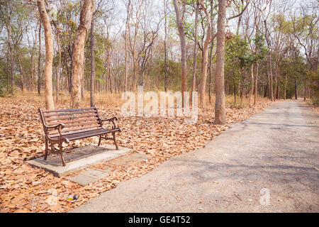 Vintage Bank und Gehweg im Herbst Park in keiner Tag Stockfoto