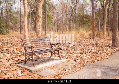 Vintage Bank im Herbst Park in keiner Tag Stockfoto