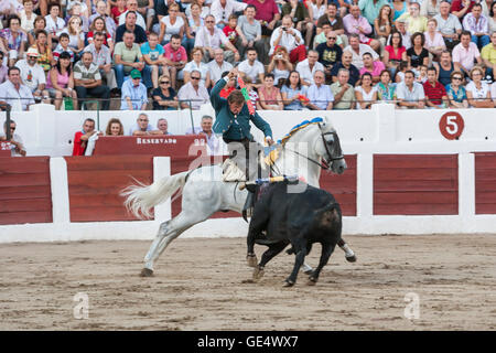 Linares, Spanien - august 31, 2011: Spanischer Stierkämpfer zu Pferd Fermin Bohorquez Stierkampf zu Pferde, in Linares, Spanien Stockfoto