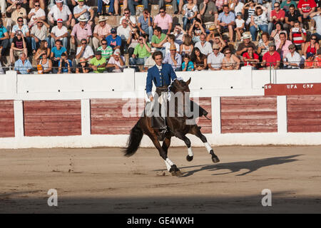 Linares, Spanien - august 31, 2011: Spanischer Stierkämpfer zu Pferd Pablo Hermoso de Mendoza Stierkampf zu Pferde, in Linares Stockfoto