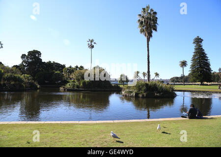 Sydney, Australien. 23. Juli 2016.  Die Teiche in der Royal Botanic Garden, Sydney, Australien-Credit: Richard Milnes/Alamy Stockfoto