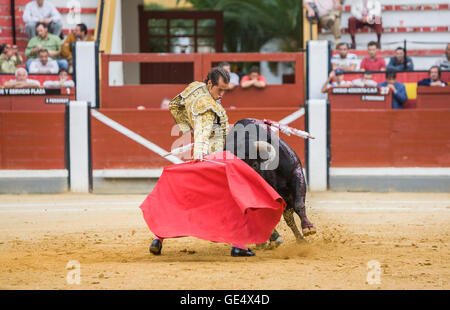 Spanischer Stierkämpfer Cesar Jimenez Stierkampf mit der Krücke in der Stierkampfarena von Jaen, Spanien Stockfoto