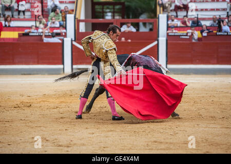 Jaen, Spanien - 17. Oktober 2008: Spanischer Stierkämpfer Cesar Jimenez Stierkampf mit der Krücke in der Stierkampfarena von Jaen, Spanien Stockfoto