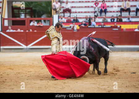 Spanischer Stierkämpfer Cesar Jimenez Stierkampf mit der Krücke in der Stierkampfarena von Jaen, Spanien Stockfoto