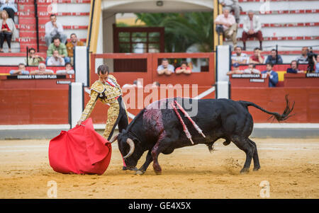 Jaen, Spanien - 17. Oktober 2008: Spanischer Stierkämpfer Cesar Jimenez Stierkampf mit der Krücke in der Stierkampfarena von Jaen, Spanien Stockfoto