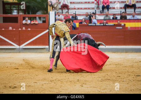 Jaen, Spanien - 17. Oktober 2008: Spanischer Stierkämpfer Cesar Jimenez Stierkampf mit der Krücke in der Stierkampfarena von Jaen, Spanien Stockfoto