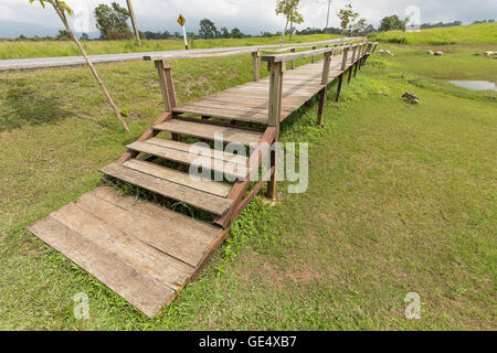 Seitenansicht der Holzbrücke im grünen Feld Gras in der Nähe von kleine Straße bei bedecktem Himmel Stockfoto